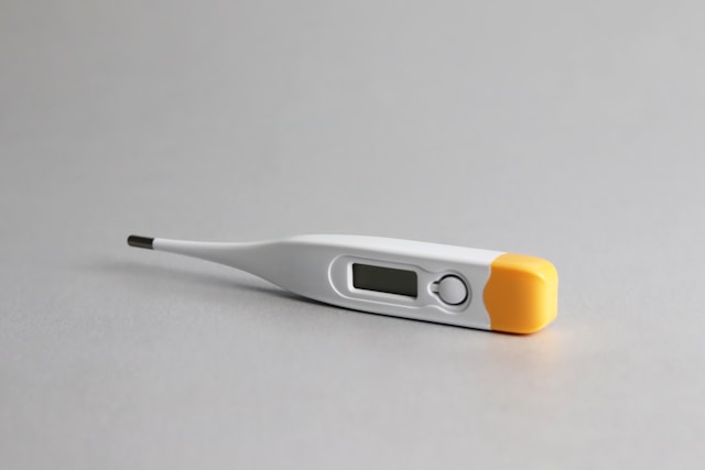 klassisches Fieberthermometer